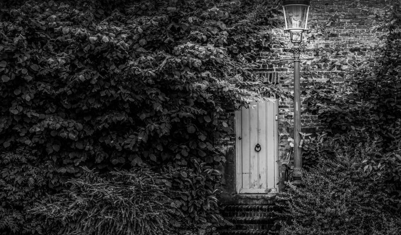 Brownstone Institute - Disease-X and Davos: This is Not the Way to Evaluate and Formulate Public Health Policy