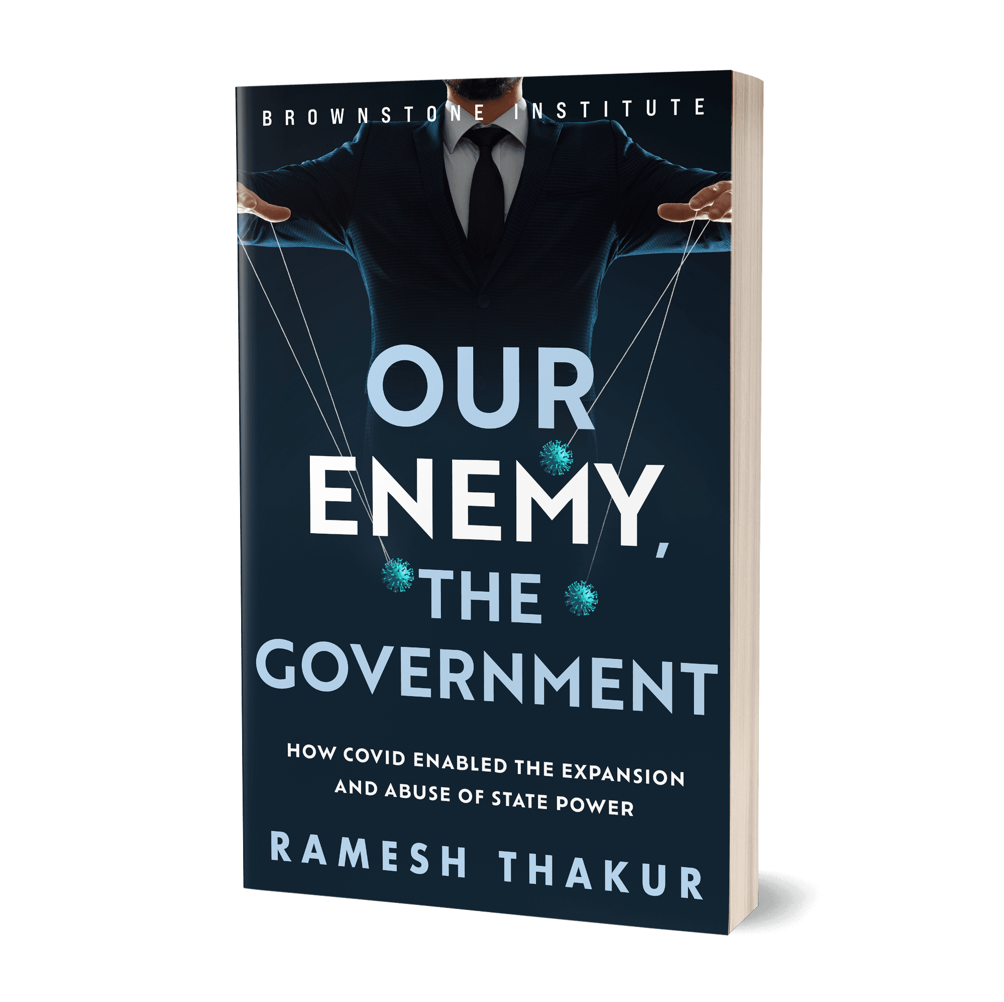 Our Enemy the Government