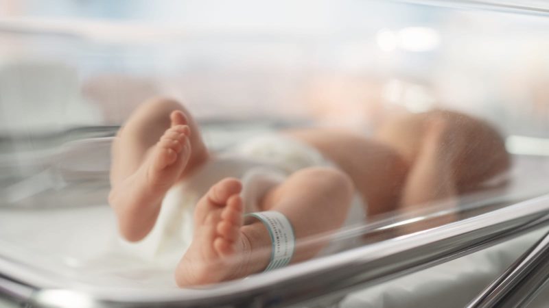 ACIP Reveals: The Newborn Hepatitis B Vaccination Policy Was Built on Narrative, Not Science