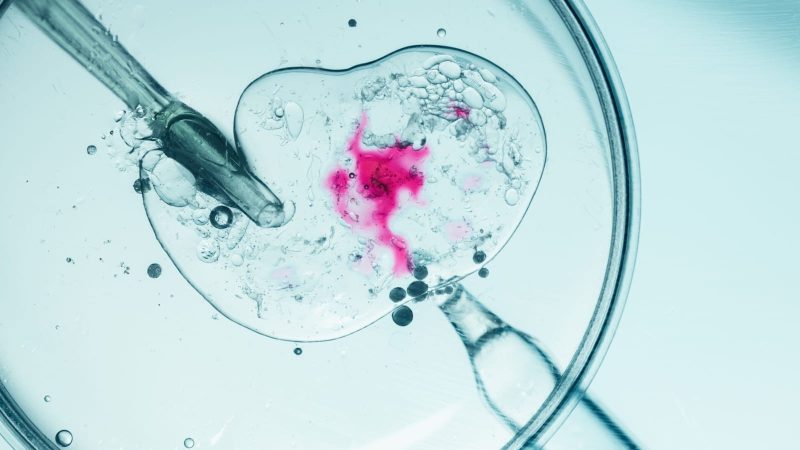 A Small Nonprofit Did What the FDA Would Not