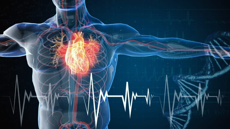 271 Teenage Cardiac Reports Buried in a File Labeled "Garbage"