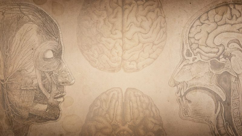 The Lost Art of Medicine: What Maimonides Knew That We Forgot