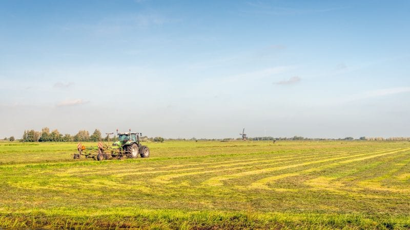 Should an Industry-Friendly Rider in the Farm Bill Override Over 1,000 State Laws?