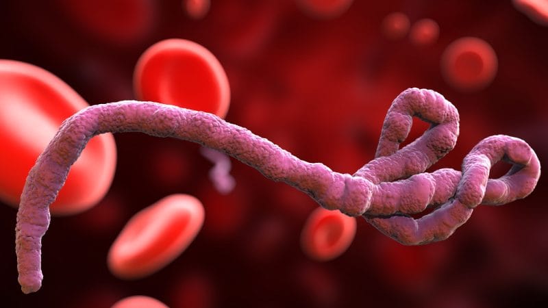 Moderna Is Building a Modified mRNA "Vaccine" for Ebola Bundibugyo